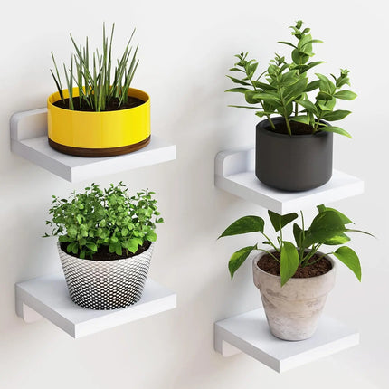 Dark Wood Mini Floating Ledges for Curated Wall Displays
