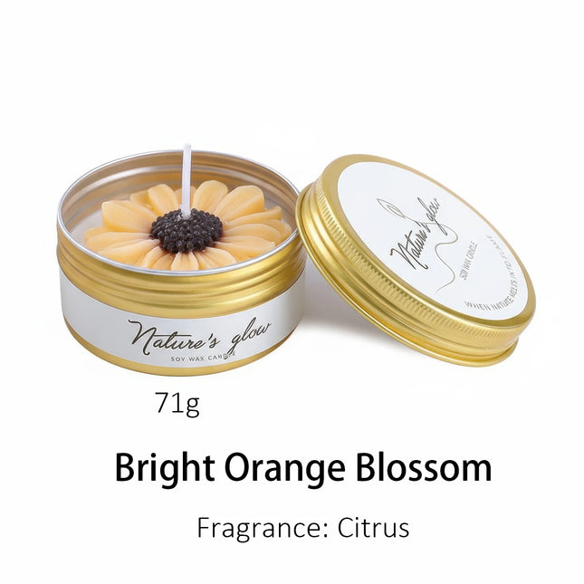 Hand-Poured Botanical Daisy Soy Wax Candle in Gold Tin