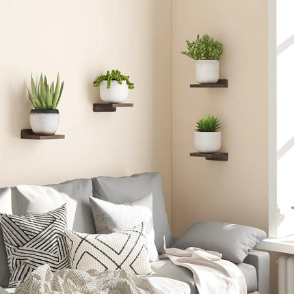 Dark Wood Mini Floating Ledges for Curated Wall Displays